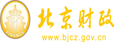 操逼大片视频北京市财政局