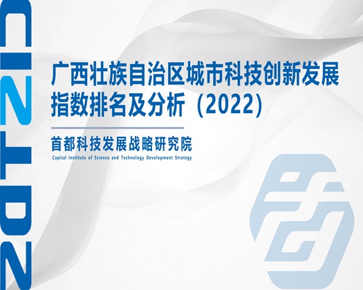 操不停15p【成果发布】广西壮族自治区城市科技创新发展指数排名及分析（2022）